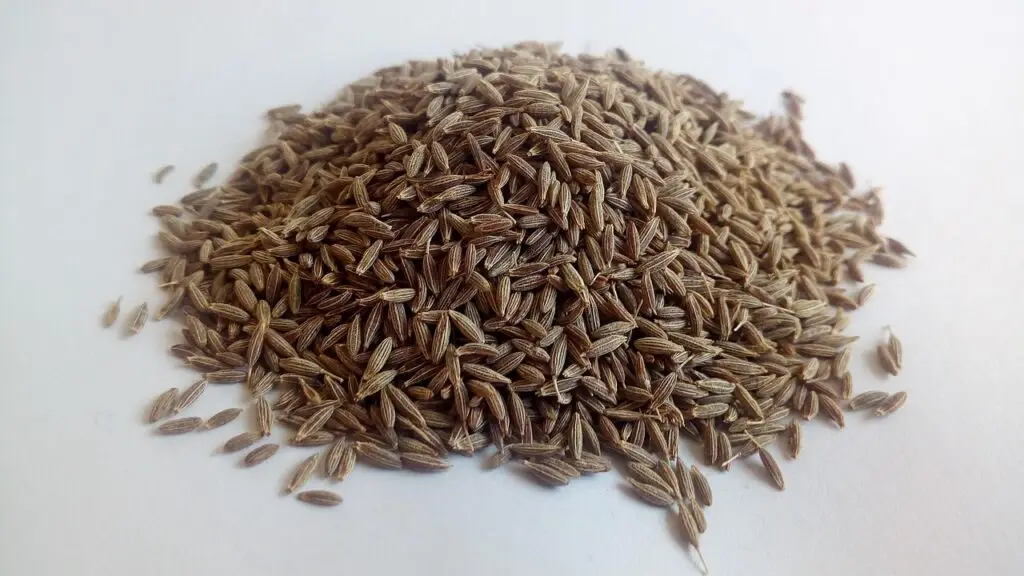 jeera(cumin) water benefits