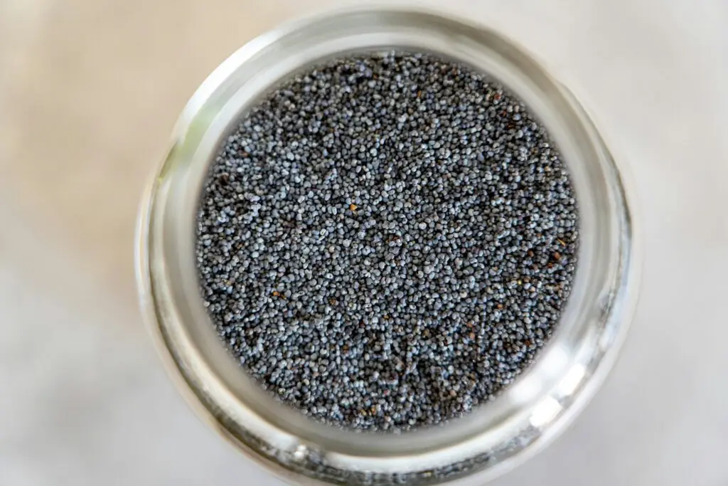 Viral Chia Seed Hacks: What’s Worth Trying for Your Health?